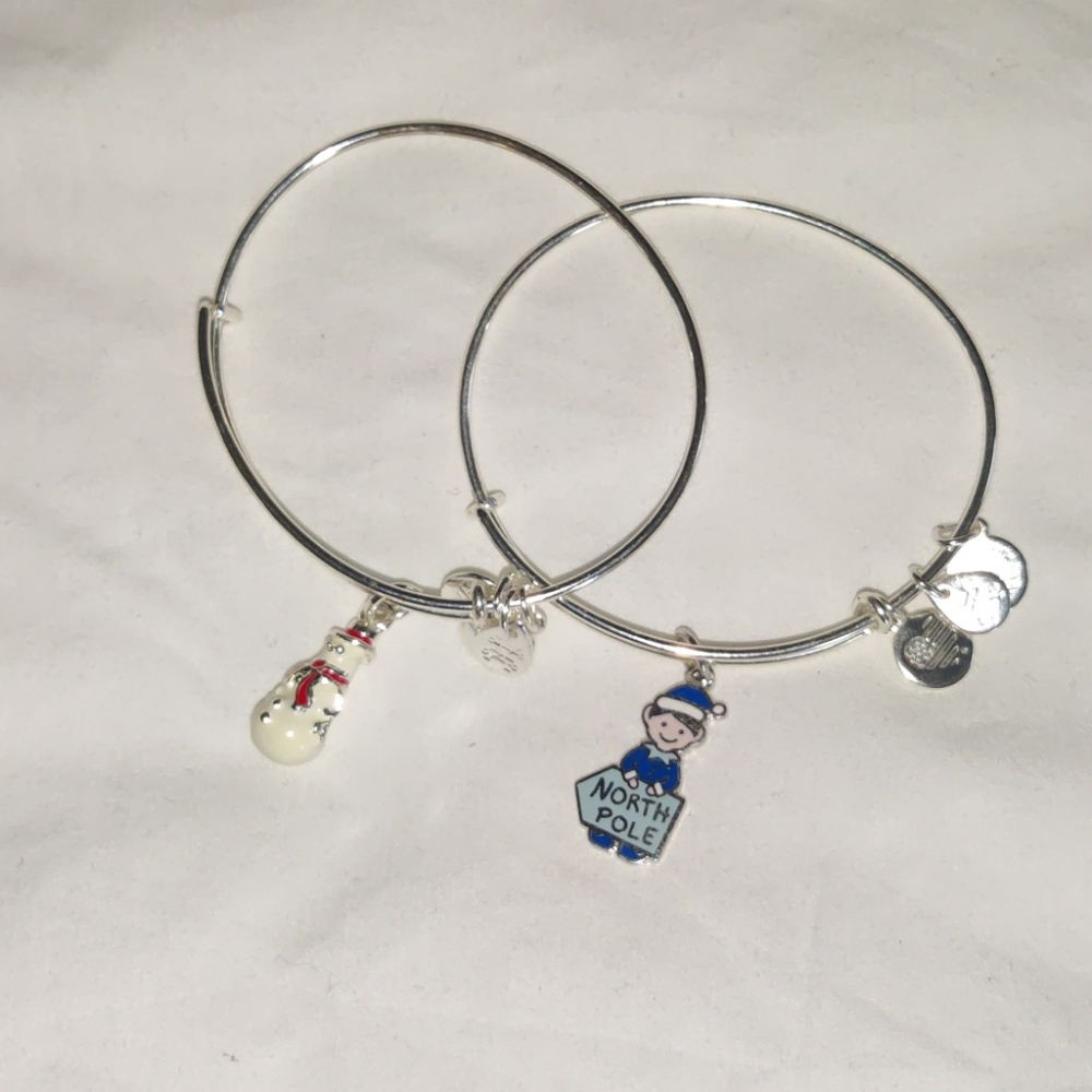 Alex and Ani winter bracelets